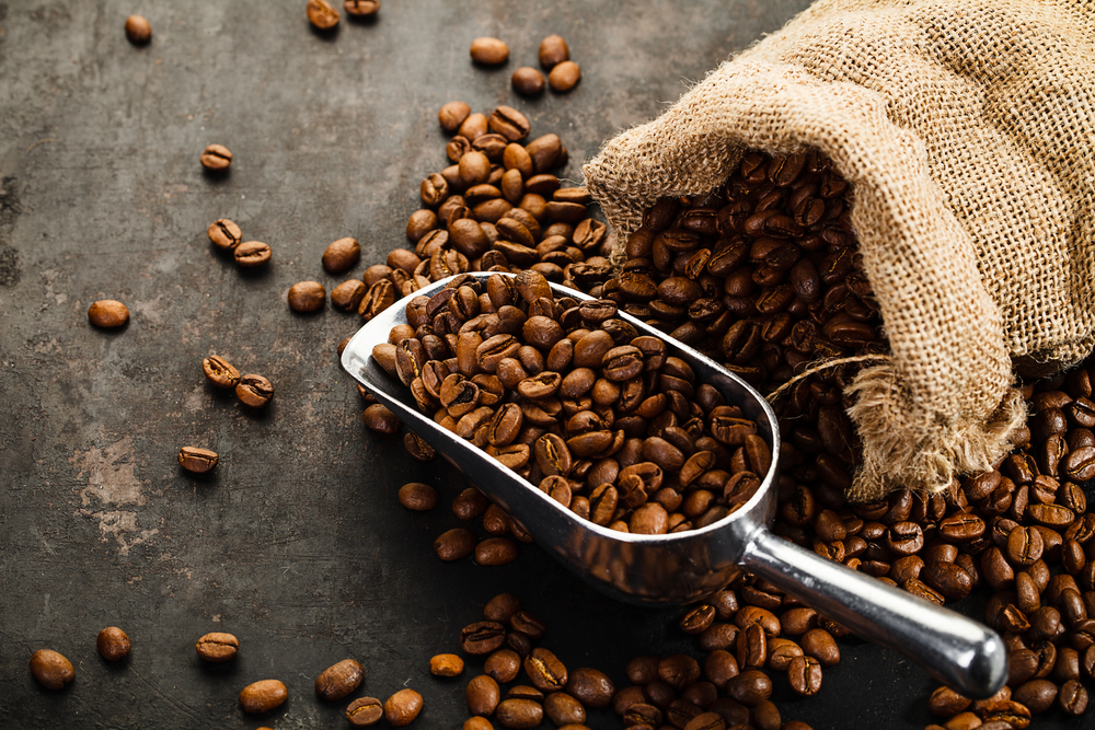 Coffee tasting experience in Zanzibar