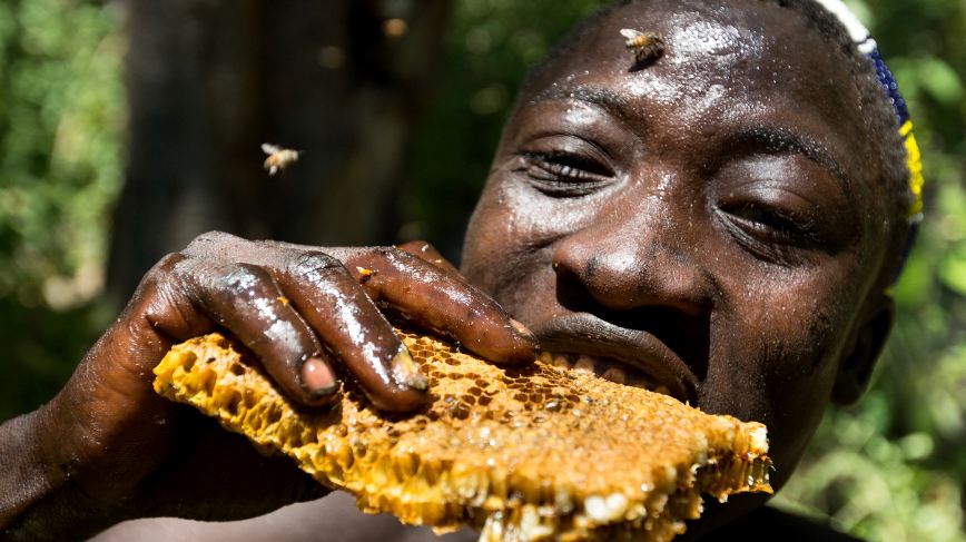 Hadzabe hunter teaching tracking skills in Lake Eyasi