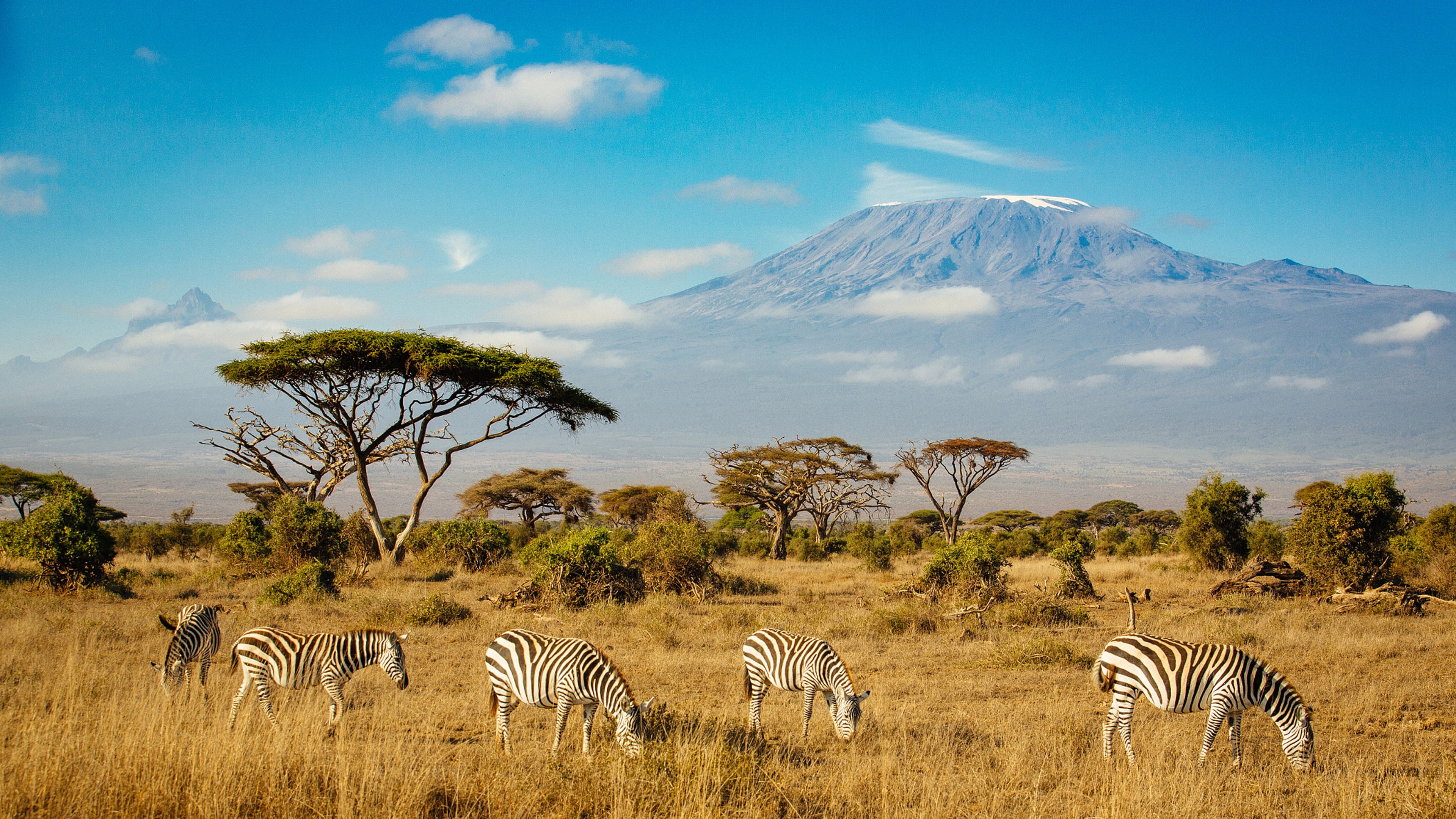 Climb Kilimanjaro 2027 Routes