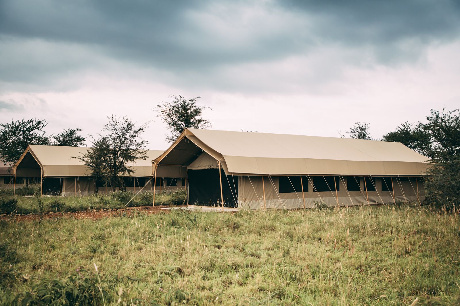 Sunset in Serengeti National Park